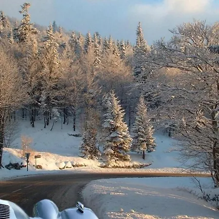 Au Bord Du Belvedere A *