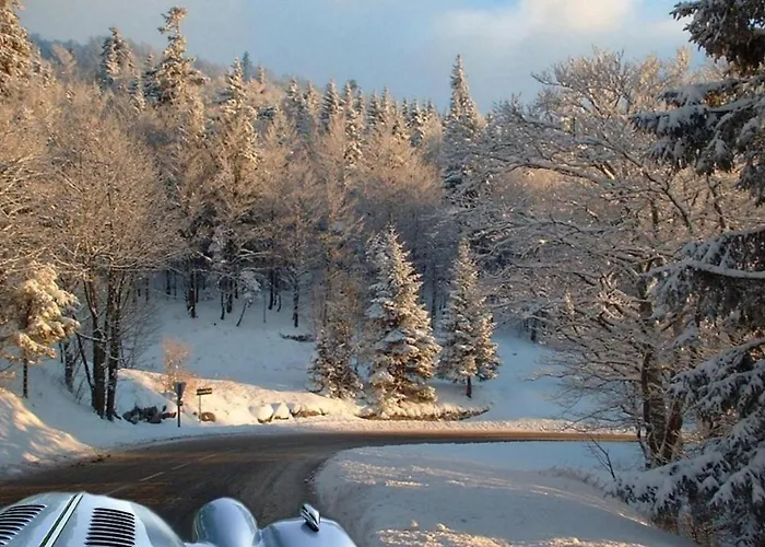 Au Bord Du Belvedere A *